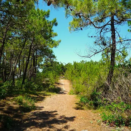 Ep000-01b 5 Pièces - 8 Couchages L'Epine (Vendee)